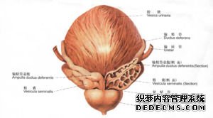 良性前列腺增生